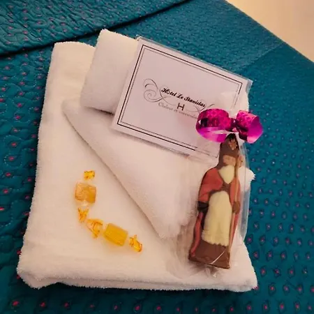 Hotel Le Stanislas Nancy