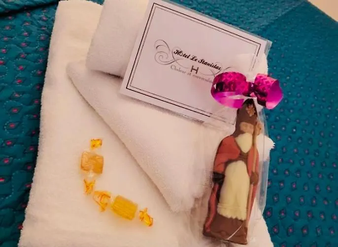 Hotel Le Stanislas Nancy