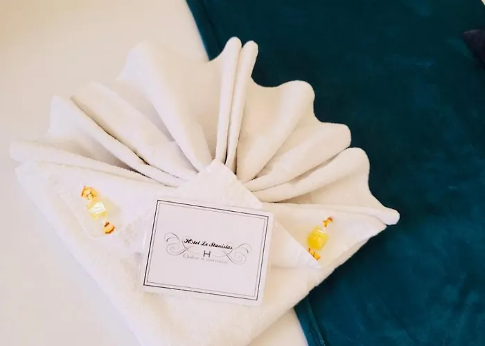 Hotel Le Stanislas Nancy