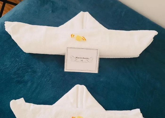 Le Stanislas 2* Nancy